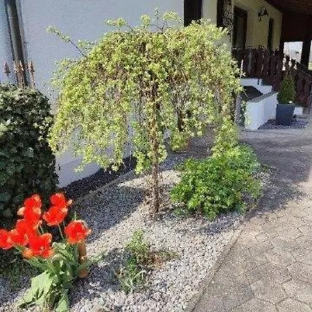 Gaestewohnung Muehlstein Hohenthann Exterior foto