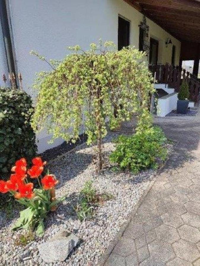 Gaestewohnung Muehlstein Apartment